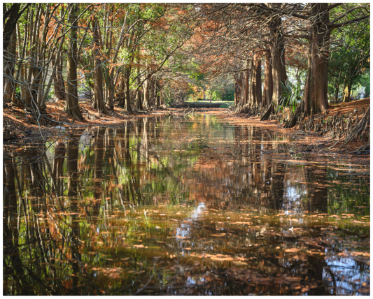Main image Metairie Cemetery